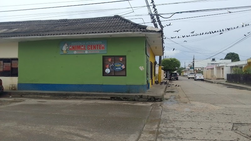 Asistencia Veterinaria Animal Center
