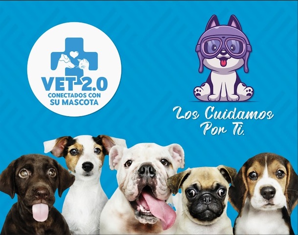 CLINICA VETERINARIA VET 2.0