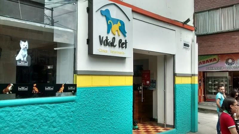 Vital Pet Clinica Veterinaria