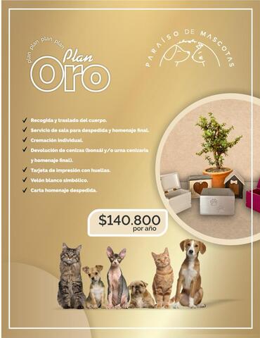 PARAÍSO DE MASCOTAS