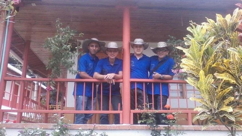 Papayera Rumba Sabor