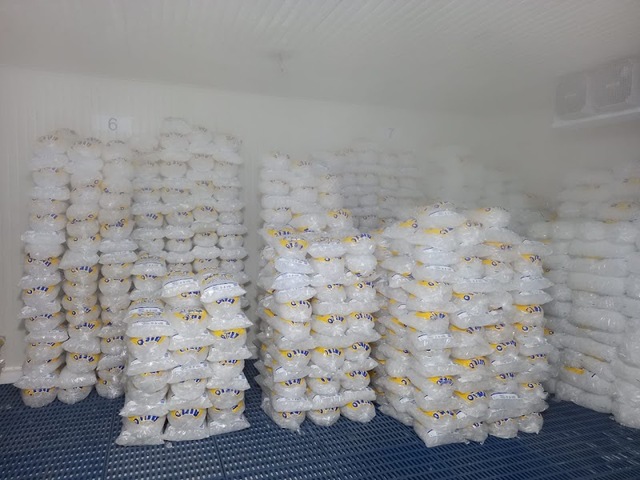 Ice Color | Fabrica de Hielo y embotelladora de agua personalizada