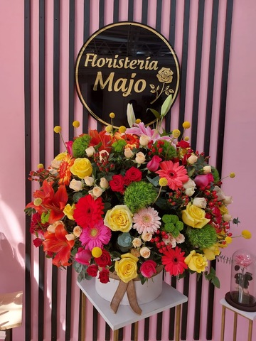 Floristería Majo Pereira