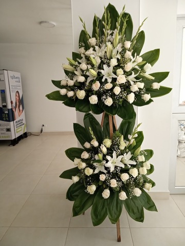 Sembramos Floristeria