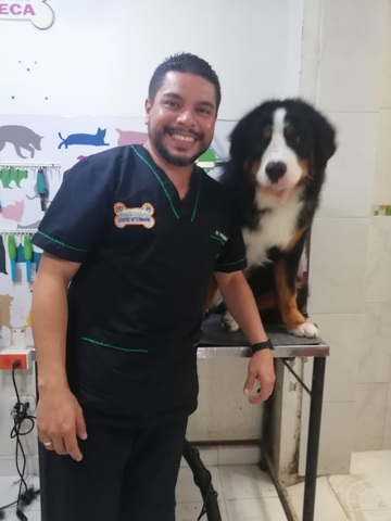 Dogs and Cats Veterinary Center