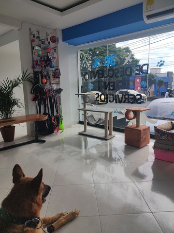 Dog Center Clínica veterinaria 24 horas