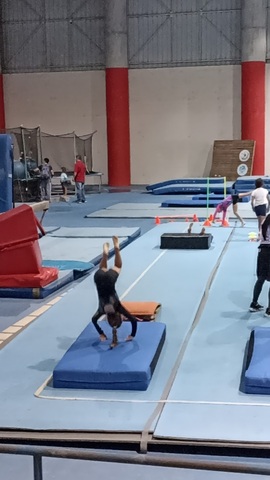 Coliseo de Gimnasia de Armenia