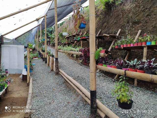 VIVERO EL CORAZONCITO DE LLANOGRANDE