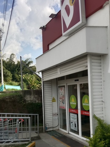 D1 Bosques de Pinares