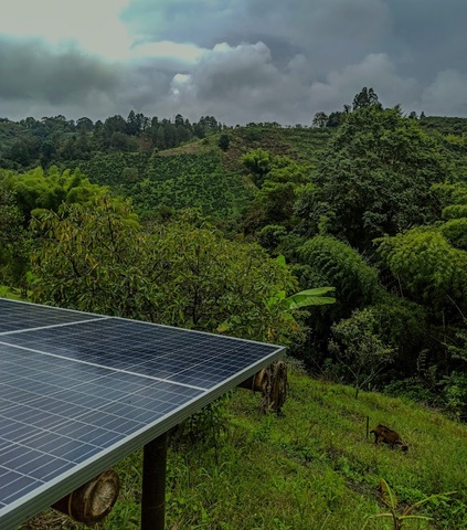 Servicios de Ingenie IngeoCol S.A.S