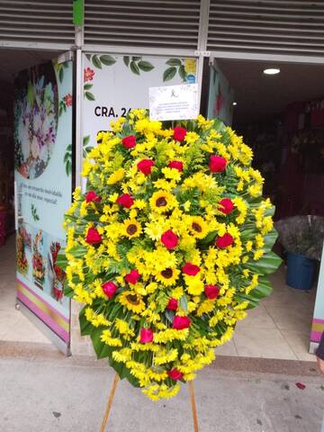 Floristería Ave Del Paraiso