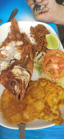 Magangue Camprestre Express