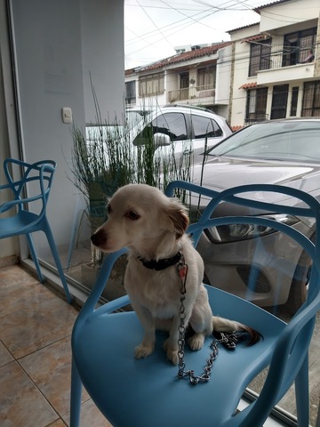 Can & Kat Centro Veterinario