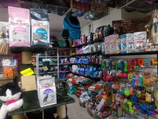 Un Mundo de Huellitas