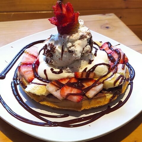 Heladería la Jungla Loca