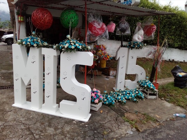 Lava Autos El Cachorro