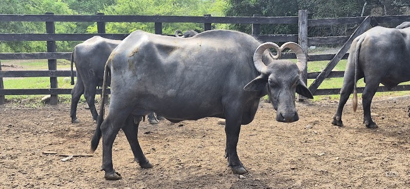 Equinovacaciones La Macarena