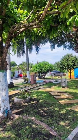 Pila de los coches o bueyes